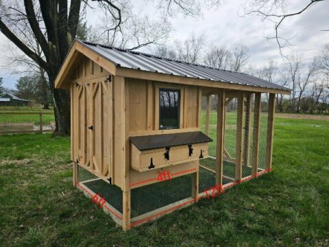 6×12 Chicken Coop - Yoder Homesteader Chicken Coops | Run-Ins | Greenhouses