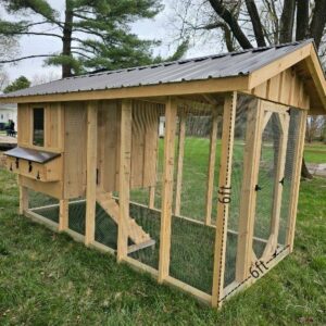 Medium 6x8 or 6x12 chicken coop